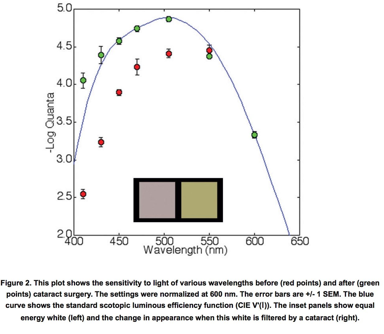 how cataracts affect color perception